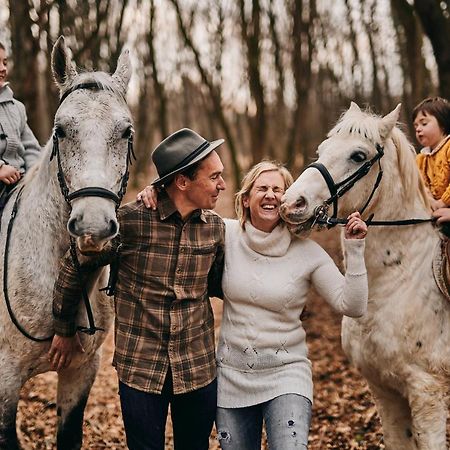 Sežana Tmbin'S Barn - Nature, Horses, Family מראה חיצוני תמונה