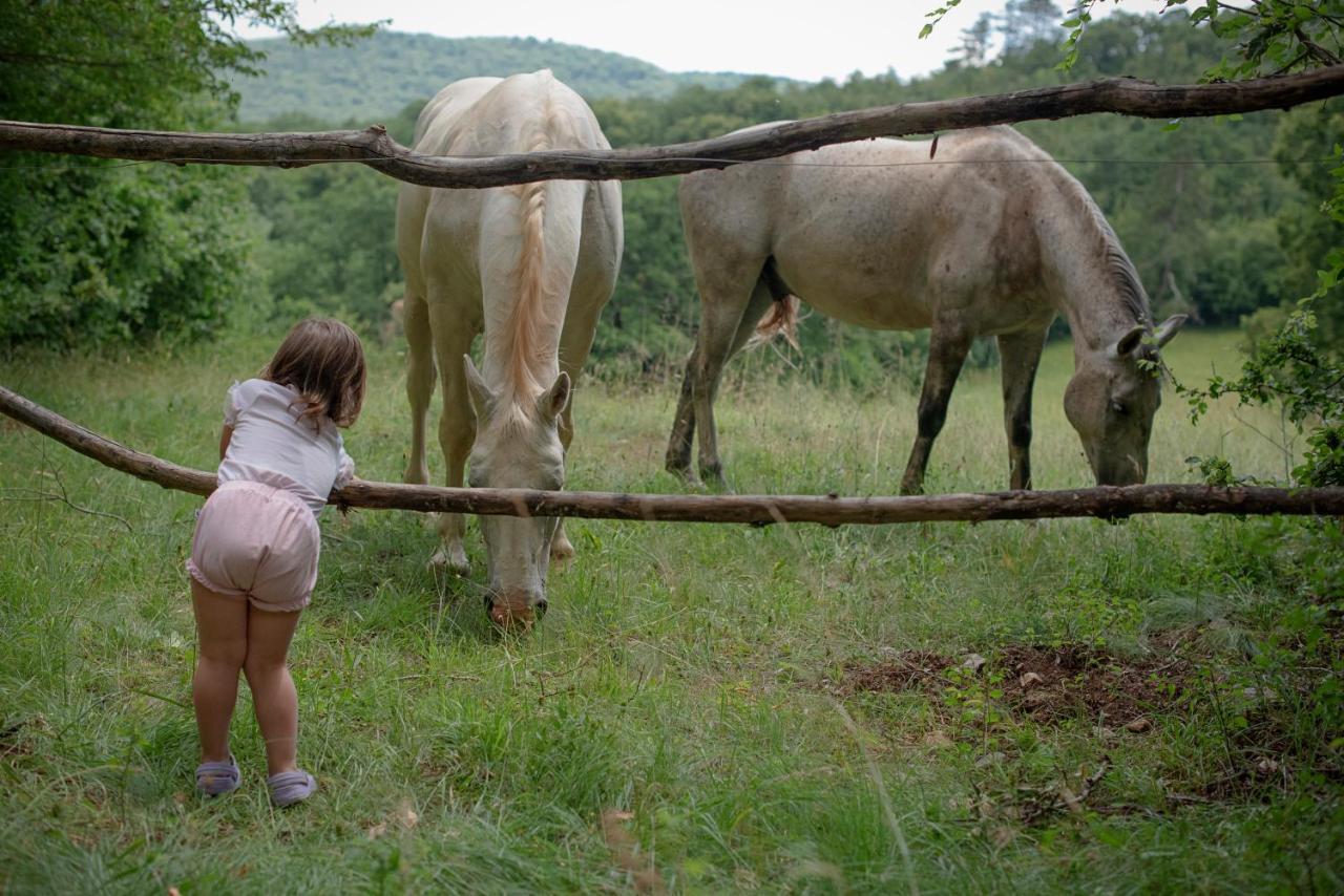 Sežana Tmbin'S Barn - Nature, Horses, Family מראה חיצוני תמונה