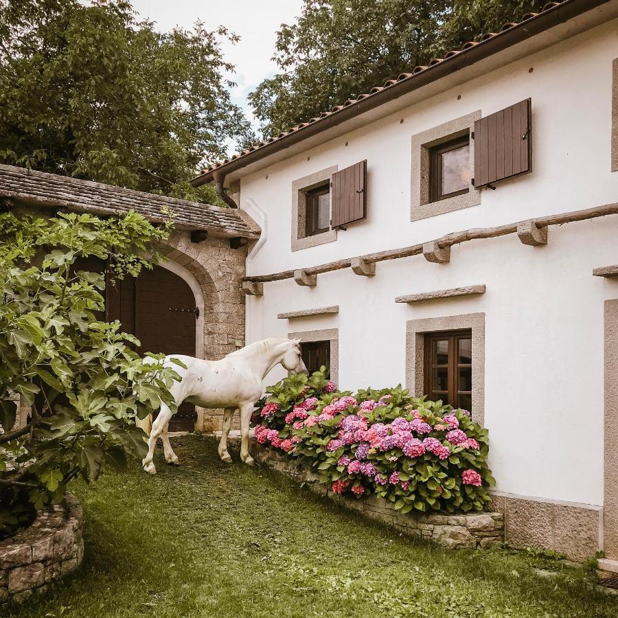 Sežana Tmbin'S Barn - Nature, Horses, Family מראה חיצוני תמונה