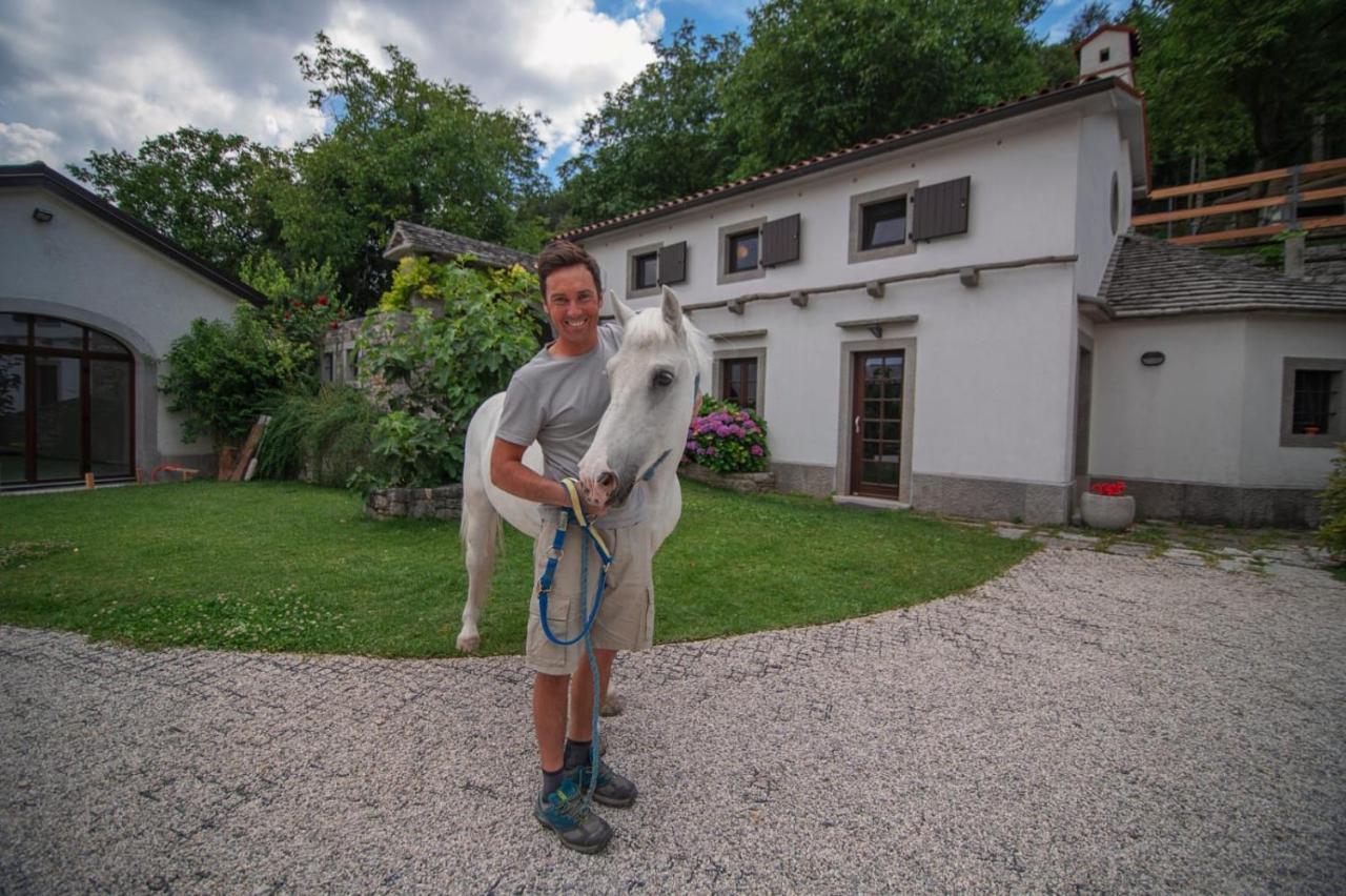 Sežana Tmbin'S Barn - Nature, Horses, Family מראה חיצוני תמונה