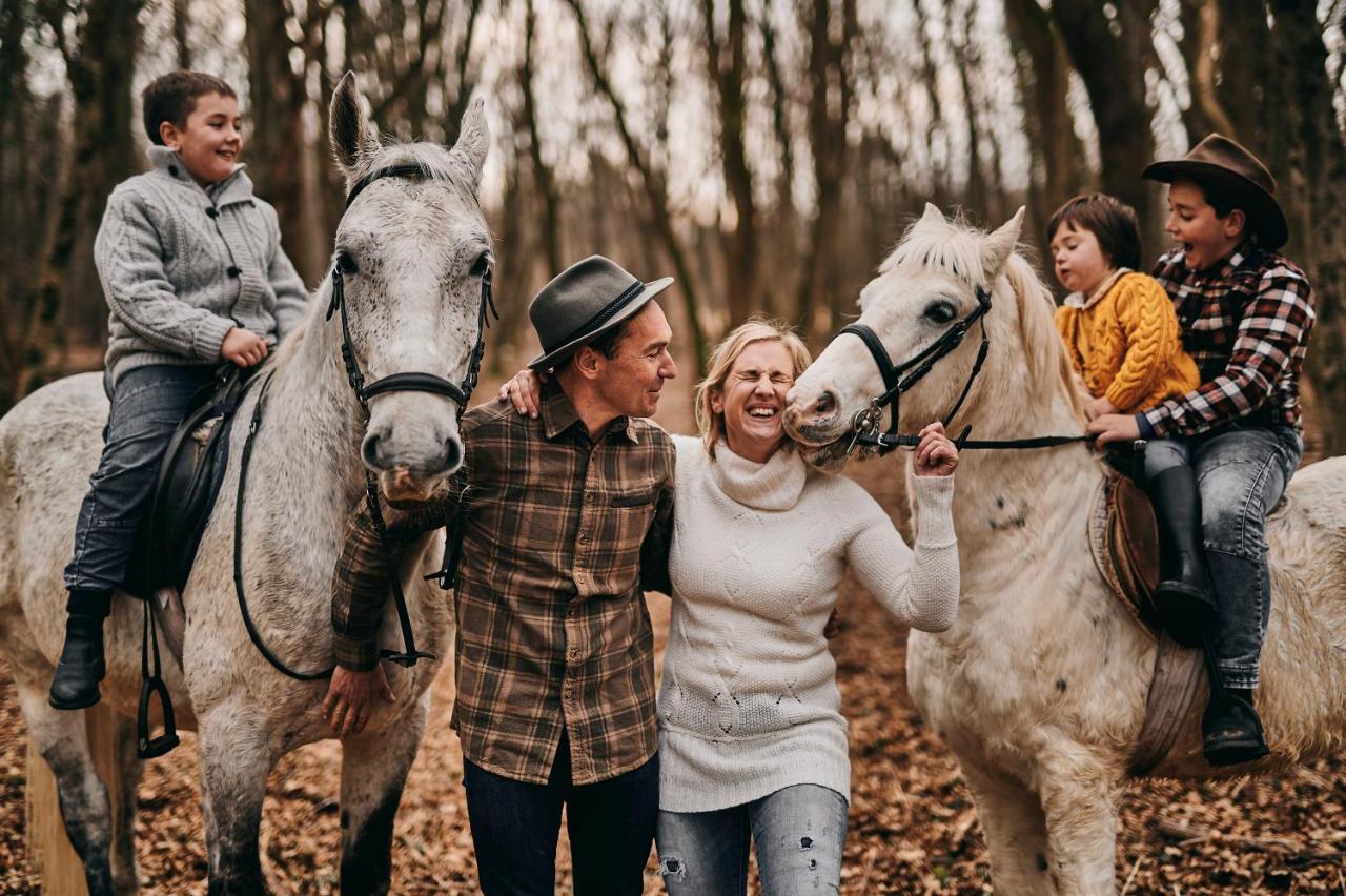 Sežana Tmbin'S Barn - Nature, Horses, Family מראה חיצוני תמונה
