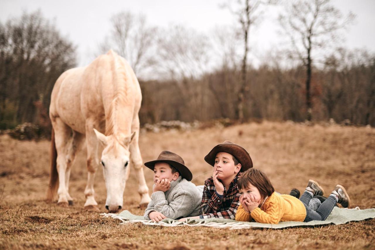 Sežana Tmbin'S Barn - Nature, Horses, Family מראה חיצוני תמונה