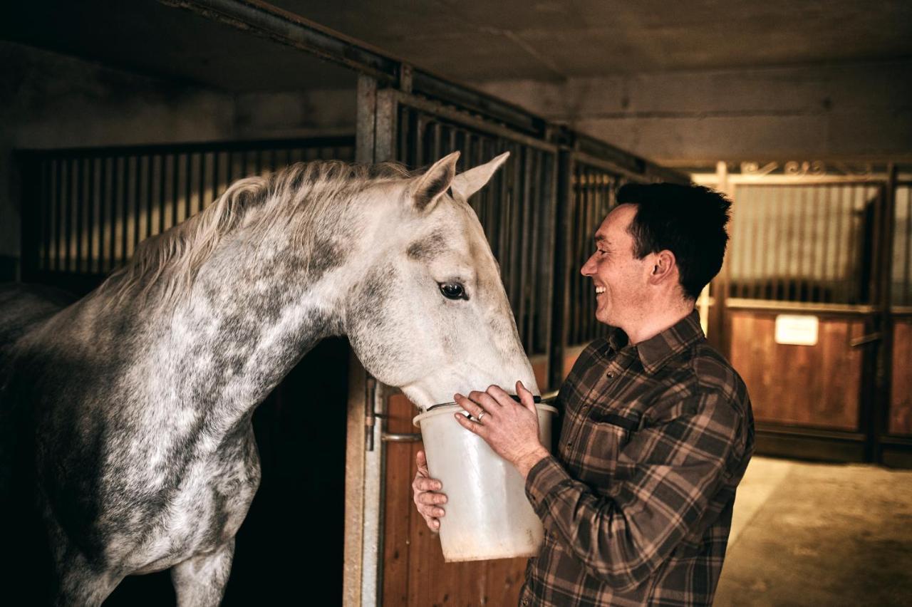 Sežana Tmbin'S Barn - Nature, Horses, Family מראה חיצוני תמונה