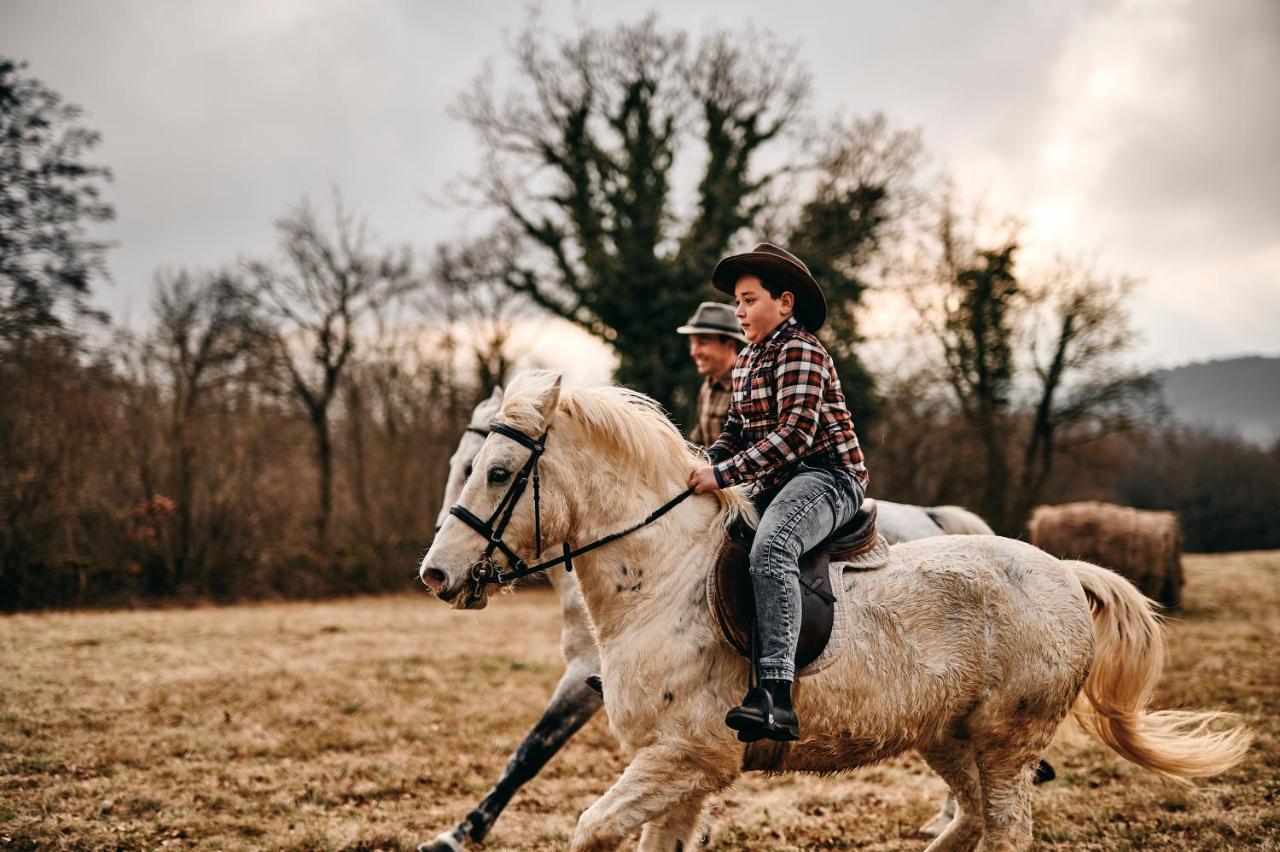 Sežana Tmbin'S Barn - Nature, Horses, Family מראה חיצוני תמונה