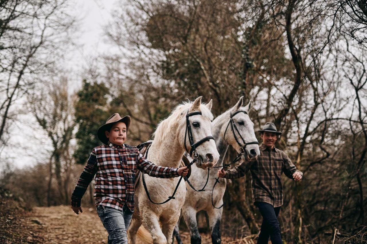 Sežana Tmbin'S Barn - Nature, Horses, Family מראה חיצוני תמונה