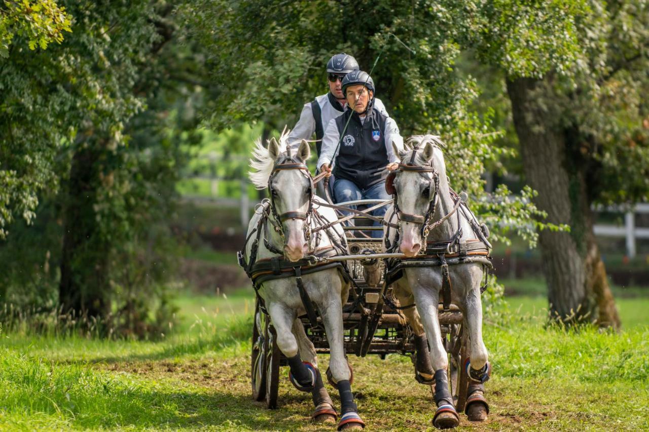 Sežana Tmbin'S Barn - Nature, Horses, Family מראה חיצוני תמונה